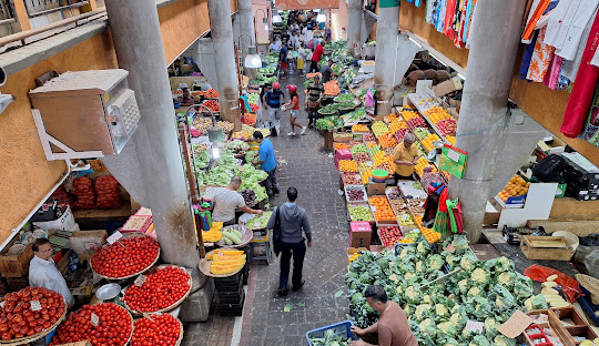 Northern Wonders Explorer 1